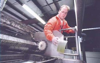 Technician Checking Water Sample